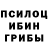 Галлюциногенные грибы мицелий chevo kavo