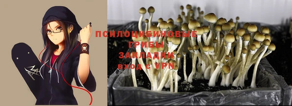 ешки Лихославль