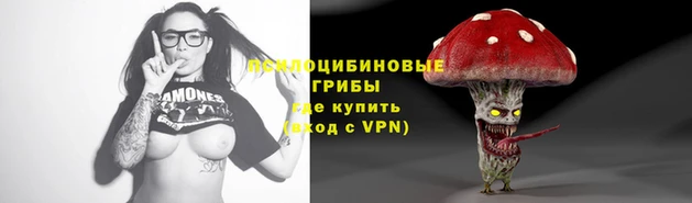 спиды Ладушкин