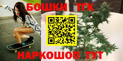 тгк Будённовск