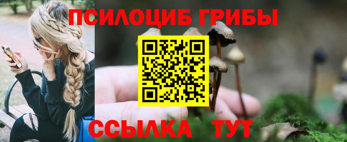 Псилоцибиновые грибы Cubensis Домодедово