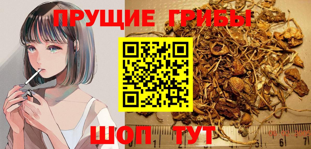 Галлюциногенные грибы прущие грибы Домодедово